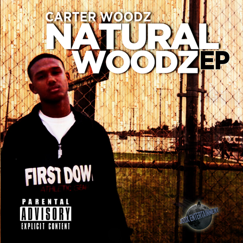 Natural Woodz Cover Art Blurred Background