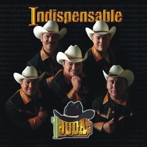 Indispensable Cover Art Blurred Background