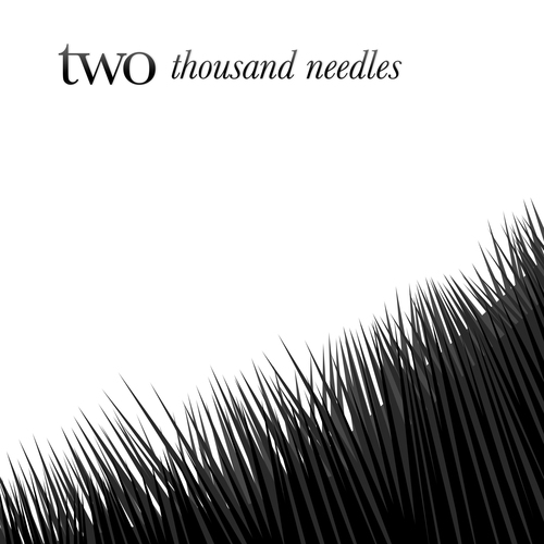 Thousand Needles Cover Art Blurred Background