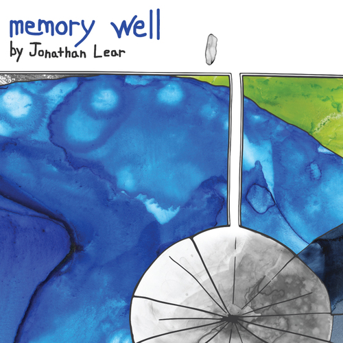 Memory Well Cover Art Blurred Background