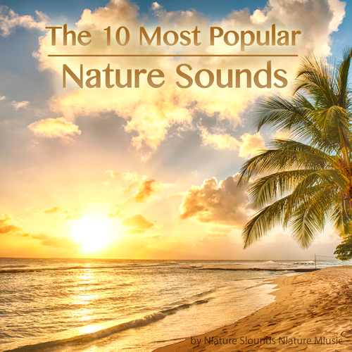 The 10 Most Popular Nature Sounds Cover Art Blurred Background