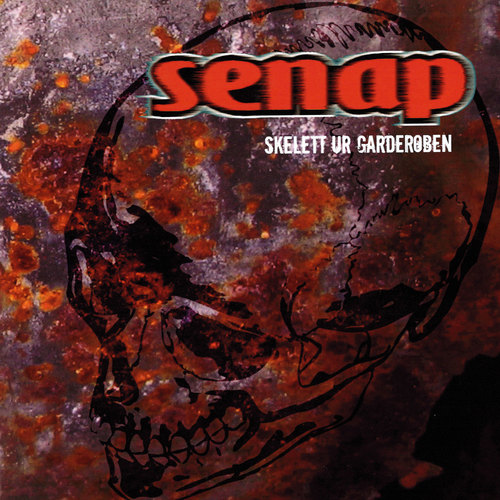 Skelett ur garderoben Cover Art Blurred Background