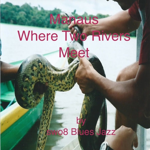 Manaus Where Two Rivers Meet Cover Art Blurred Background