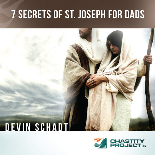 7 Secrets of St. Joseph for Dads Cover Art Blurred Background