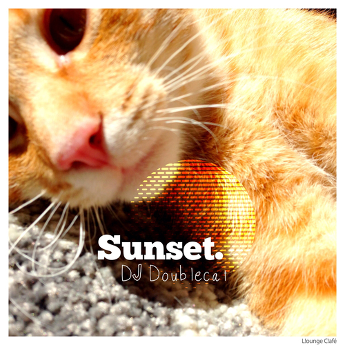 Sunset. Cover Art Blurred Background