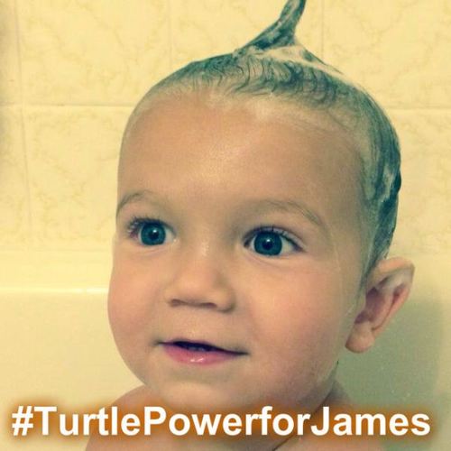 #TurtlePowerforJames Cover Art Blurred Background
