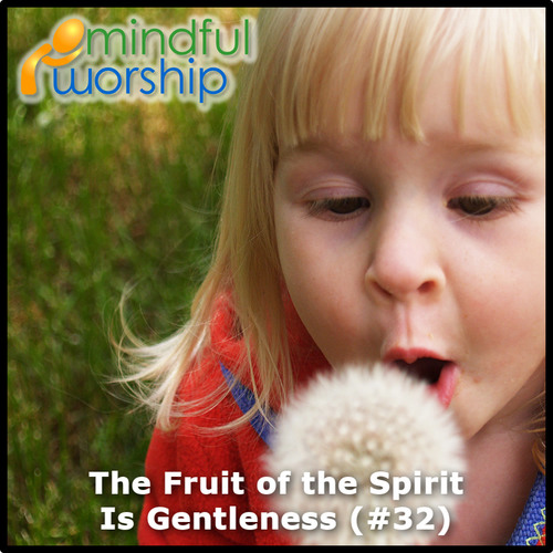 The Fruit of the Spirit Is Gentleness Cover Art Blurred Background