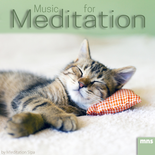 Music for Meditation Cover Art Blurred Background