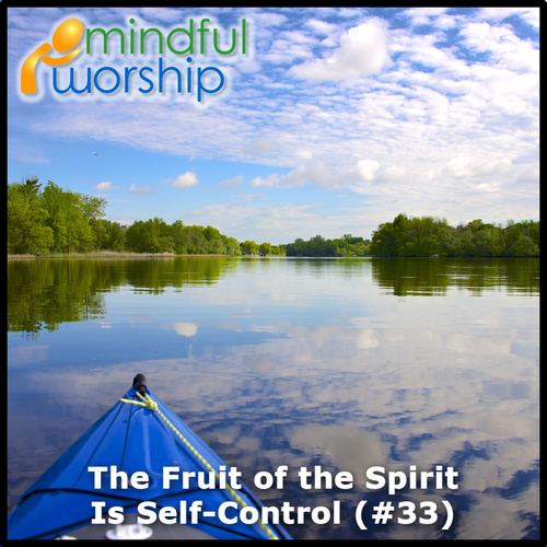 The Fruit of the Spirit Is Self-Control Cover Art Blurred Background