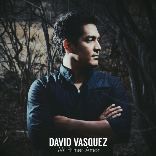 Mi Primer Amor Cover Art Blurred Background