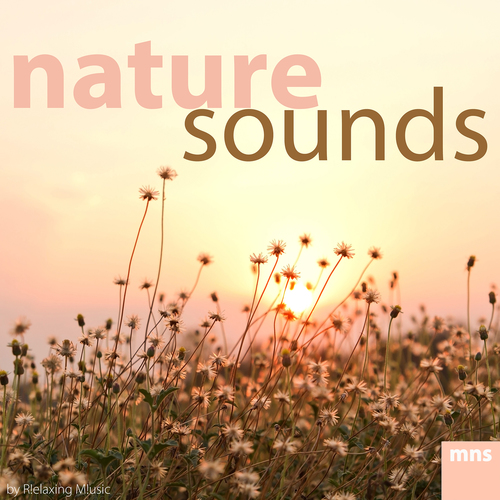 Nature Sounds Cover Art Blurred Background