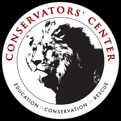 Wowing Jungle Cats at Conservators' Center Cover Art Blurred Background