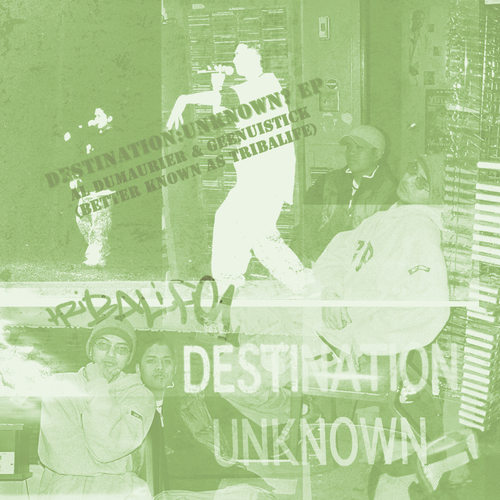 Destination: Unknown? Cover Art Blurred Background