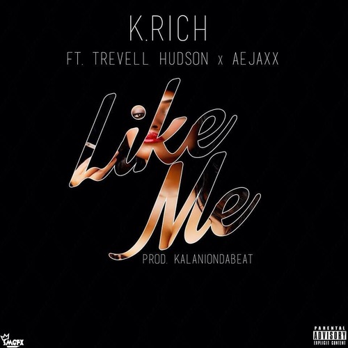 Like Me Cover Art Blurred Background