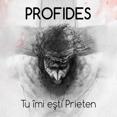 Tu imi esti prieten Cover Art Blurred Background