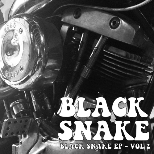 Black Snake, Vol. 2 Cover Art Blurred Background