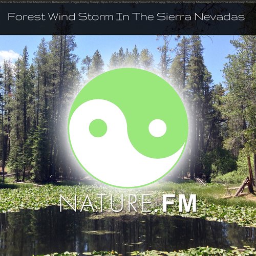 Forest Windstorm in the Sierra Nevadas (Nature Sounds for Meditation, Relaxation, Yoga, Baby Sleep, Spa, Chakra Balancing, Sound Therapy, Studying, Healing Massage, Insomnia and Deep Sleep) Cover Art Blurred Background