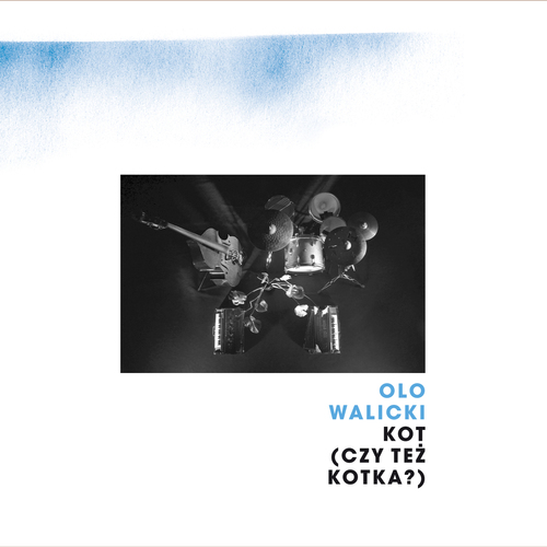 Kot (czy też kotka?) Cover Art Blurred Background