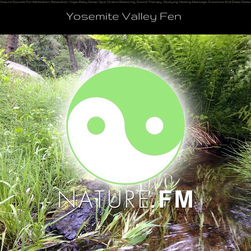 Yosemite Valley Fen (Nature Sounds for Meditation, Relaxation, Yoga, Baby Sleep, Spa, Chakra Balancing, Sound Therapy, Studying, Healing Massage, Insomnia and Deep Sleep) Cover Art Blurred Background