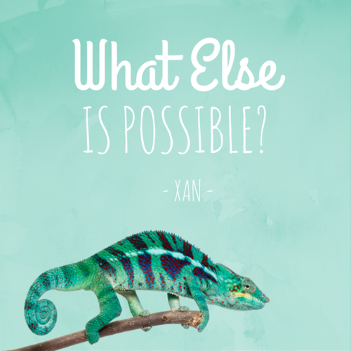 What Else Is Possible? Cover Art Blurred Background
