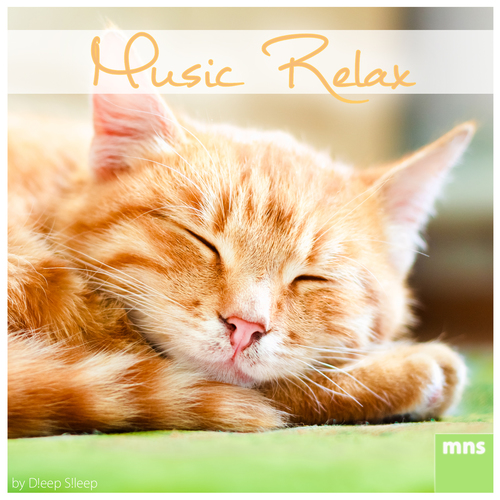 Music Relax Cover Art Blurred Background