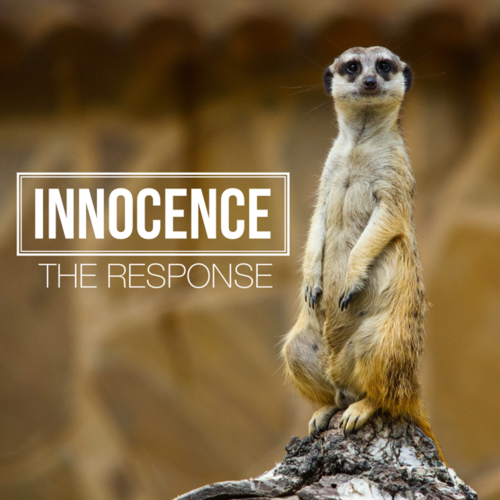 Innocence Cover Art Blurred Background