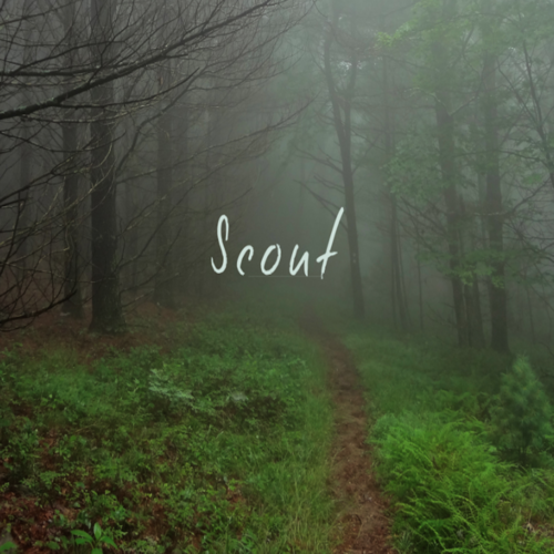 Scout Cover Art Blurred Background