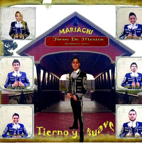 Tierno y Suave Cover Art Blurred Background