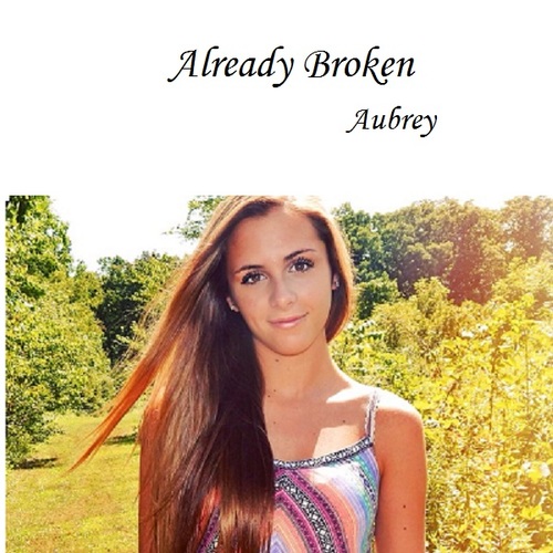 Already Broken Cover Art Blurred Background