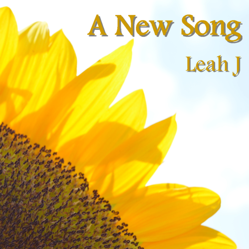 A New Song Cover Art Blurred Background