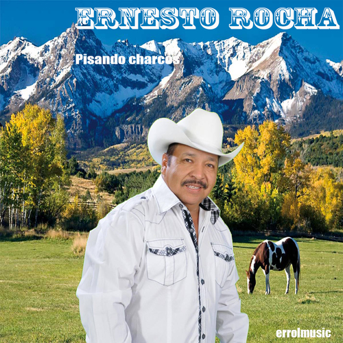 Pisando Charcos Cover Art Blurred Background