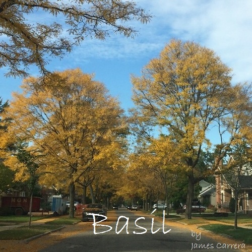 Basil Cover Art Blurred Background
