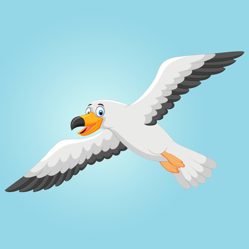 Seagull Bird Squawk Call Cover Art Blurred Background