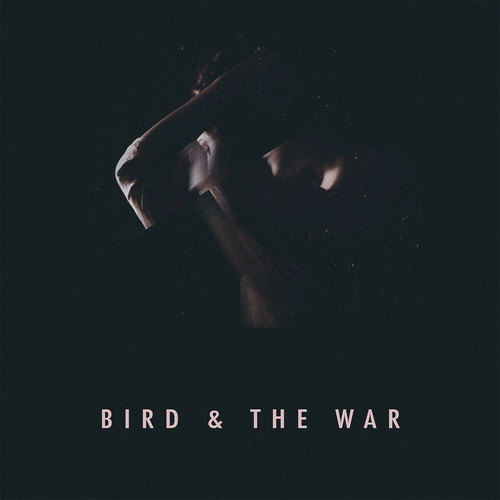 Bird & The War Cover Art Blurred Background