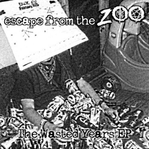 The Wasted Years Cover Art Blurred Background