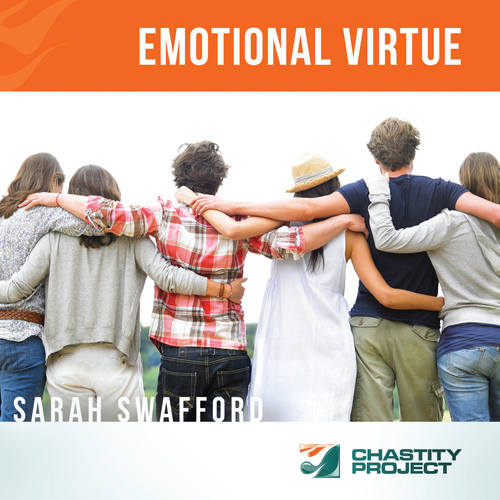 Emotional Virtue Cover Art Blurred Background