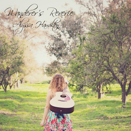 Wanderer's Reverie Cover Art Blurred Background
