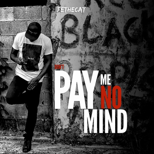 DPMNM (Don't Pay Me No Mind) Cover Art Blurred Background