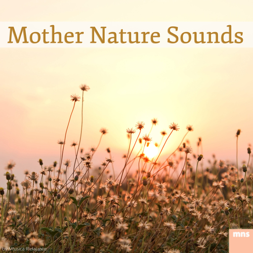 Mother Nature Sounds Cover Art Blurred Background