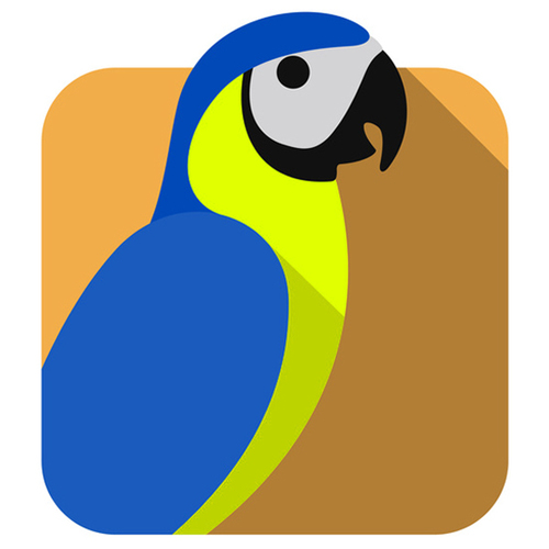Parrot Cover Art Blurred Background