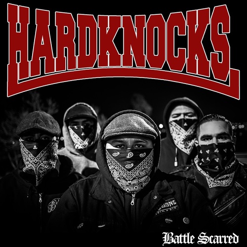 Battle Scarred Cover Art Blurred Background