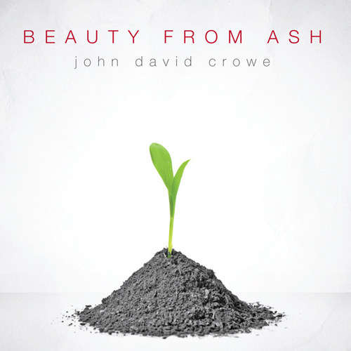 Beauty from Ash Cover Art Blurred Background