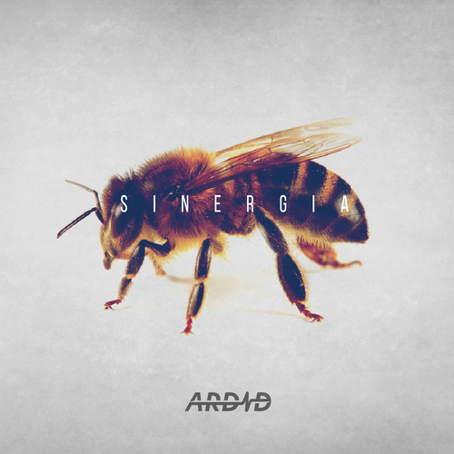 Sinergia Cover Art Blurred Background