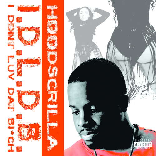 I Dont Luv Dat Bitch Cover Art Blurred Background