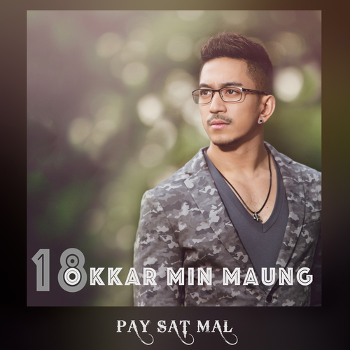 Pay Sat Mal Cover Art Blurred Background