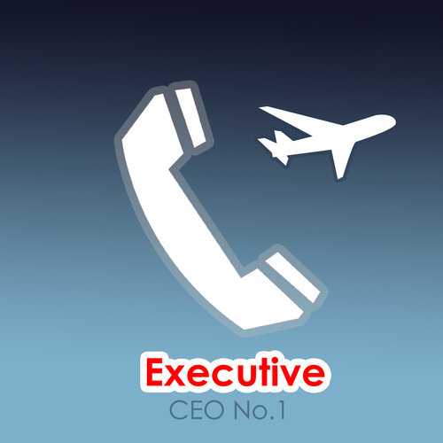 Executive (Professional Modern) Cover Art Blurred Background