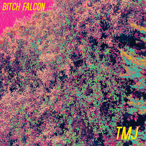 TMJ Cover Art Blurred Background