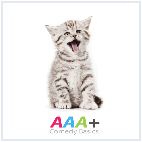 Cute Cat Cover Art Blurred Background