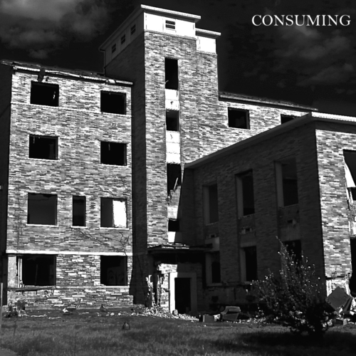 Consuming Cover Art Blurred Background