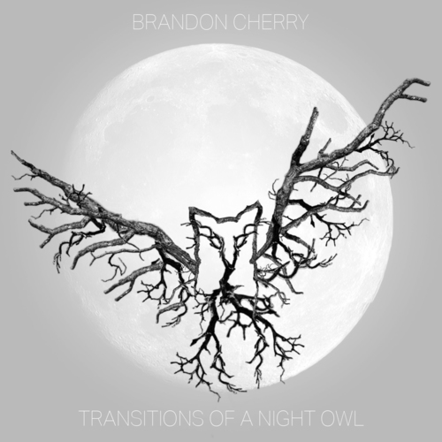 Transitions of a Night Owl Cover Art Blurred Background